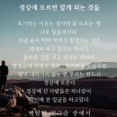 이촌근린공원 이미지