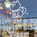 러블리독 이미지