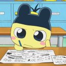 초등고학년수학지도과정 이미지