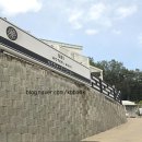세이워터코히