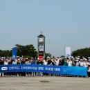 프로암 티스토리