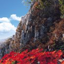 김해대학역 이미지