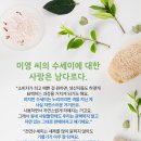 소립에너지 이미지