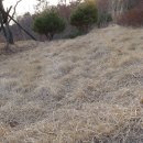 용문산자연휴양림 이미지