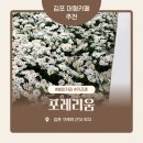 소망베이커리 | 김포 대형카페 추천 / 포레리움 / 베이커리 맛집 내돈내산 후기 (서울 근교카페, 아이동반 추천, 주차)