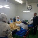 농업회사법인 리뉴얼라이프(주) 이미지