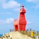 한국마사회 제주육성목장 동물병원 | 제주도 제주시 가볼만한곳 이호테우 해변 말등대 렛츠런파크 제주 목장