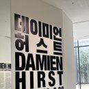 권능자동차 | 국현미 데미안 허스트 전시, 예매 꿀팁과 논란의 문제작 해석