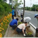 국동 장어탕 횟집거리 이미지