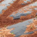 덕림환경 이미지