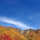 아리힐스(짚와이어) 이미지