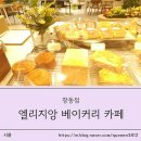 엘리지앙 이미지