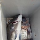 대림민박 이미지