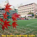 제8회 충의중학교 축구부 총동문 체육대회 7 이미지