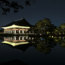 경복궁 Daum카페