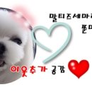 건물주 수산 이미지