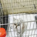 원평동물병원 이미지