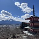 사과탑매점 | 시즈오카 여행 1일차 :: 후지산 명소 1_시모요시다 혼초거리, 아라쿠라야마 센겐 공원, 가와구치코