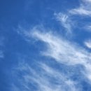 온리유 펫살롱 이미지