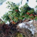 함평자연생태공원 이미지