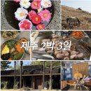 상모리-16 | 2박 3일 | 맛집투어 말고기 무한리필 마우돈 , 신화월드 랜딩관 , 산방도감, 카멜리아힐 내돈내산 후기