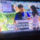 배추 한 포기에 뱌춧잎 한 장 가격이라네요 이미지