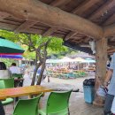 정금마을 차밭 앞 | [하동 2/2일차]녹차밭 명소 정금차밭&amp;삼성궁 힐링 코스