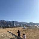 대저생태공원캠핑장 | 대저생태공원캠핑장 당일치기 로 새해 첫 캠핑