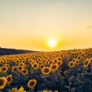 예미지세탁 이미지