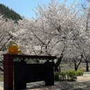 이디야커피군위점