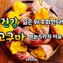 🍠 우리가 '고구마'를 먹어야하는 5가지 🍠 이미지