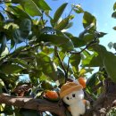 승관농장 이미지