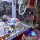 신호등포차 이미지