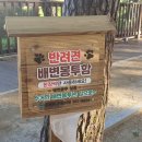 솔밭 이미지