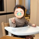 에클레시아 | 인덕원 돌 아기 미용실 에클레시아 내돈내산 두 번 방문 후기