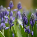 <형태의 속삭임> 이미지