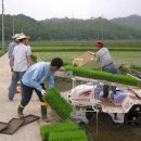 옴천면사무소 이미지