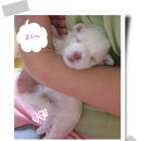 봉봉브라더스 이미지