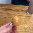 삼시뽀끼 이미지