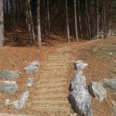 홍천강 자라바위 오토캠핑장 이미지