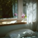 햇살좋은 이미지