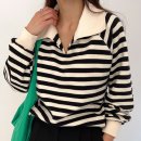 세미폭스 이미지