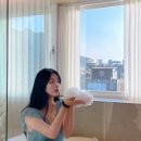 팔레드군산 이미지