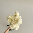 [💍.W11] 대구 웨딩촬영부케 │수성구 꽃들의 열두달 후기