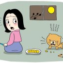 포레동물병원 - 성동구 성수일로 33 | 포레동물병원