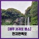 [제주 서귀포 명소] 천지연폭포 - #직접체험 제주 서귀포 폭포 솔직 리뷰 후기