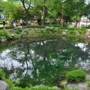 황지연못 이미지