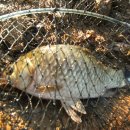 씨알어린이공원 이미지