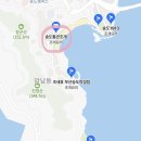 부산 송도 조개구이, ‘송도통큰조개’ 솔직 후기