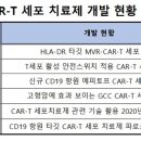 예스CAR 이미지